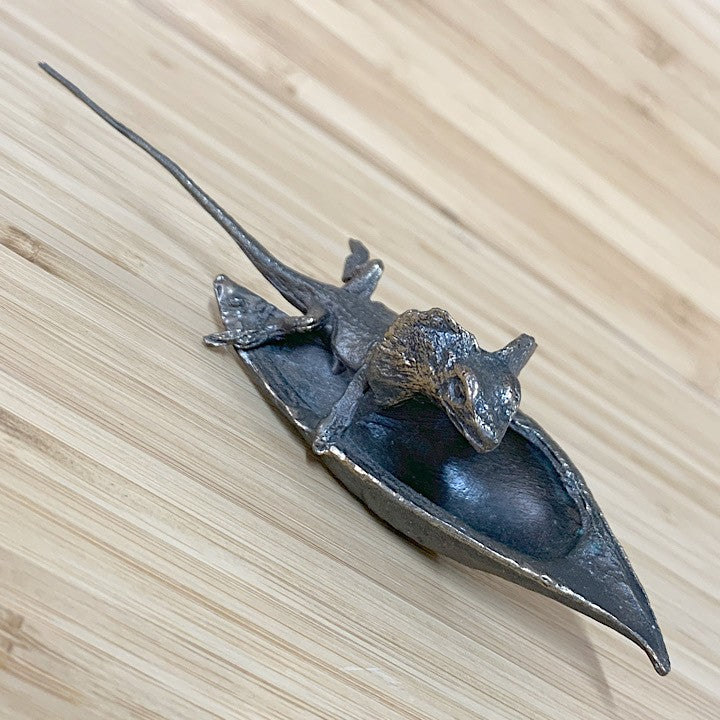 FRILLED NECK LIZARD ON BLACKBEAN