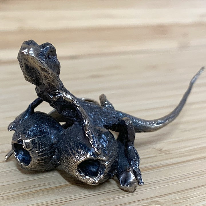 BRONZE LIZARD ON GUMNUTS