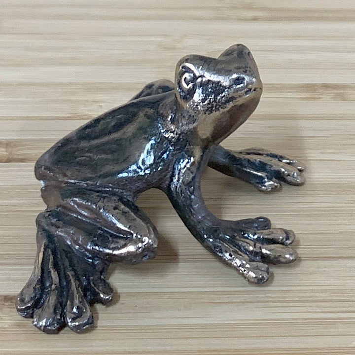 BRONZE TREE FROG