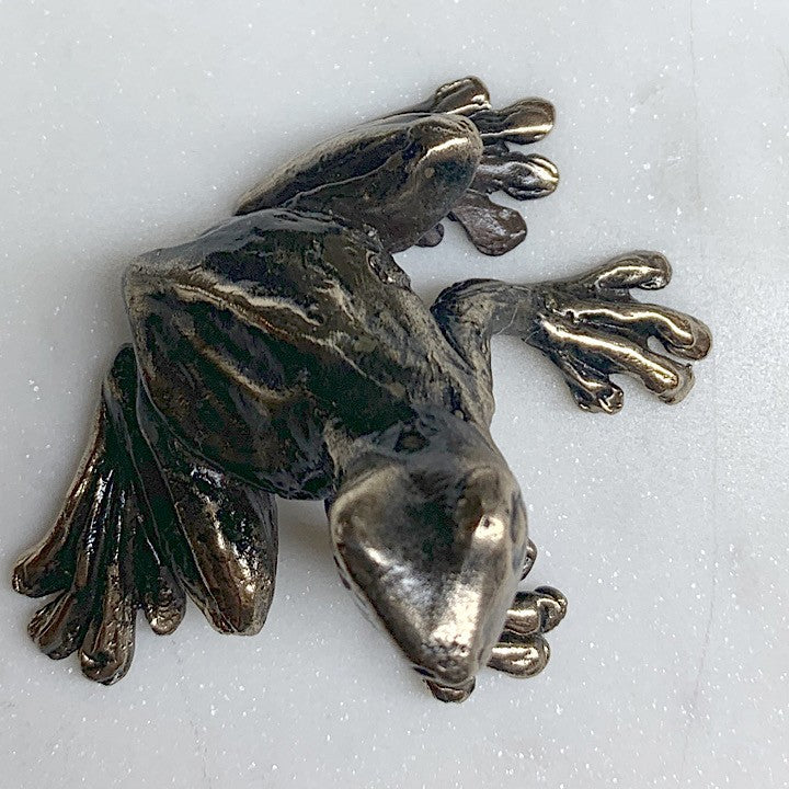 BRONZE TREE FROG
