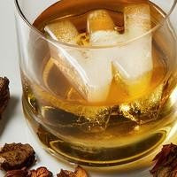 DRINKS PLINKS ICE CUBE TRAY LETTER W