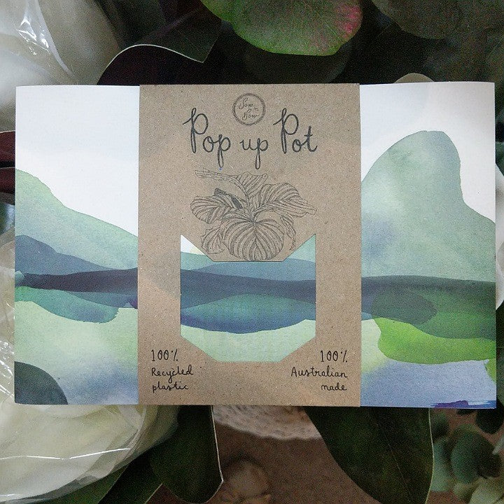 ECO POP UP POT