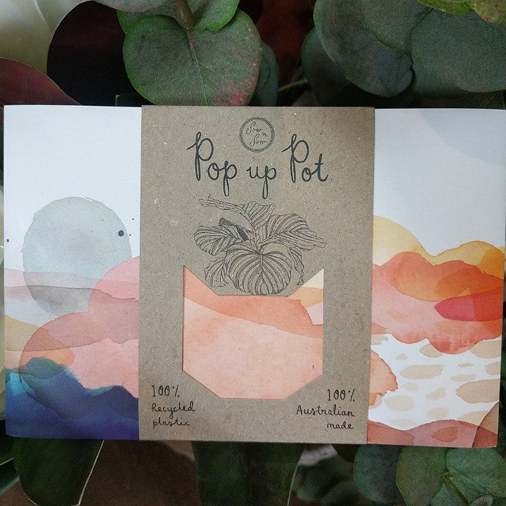 ECO POP UP POT