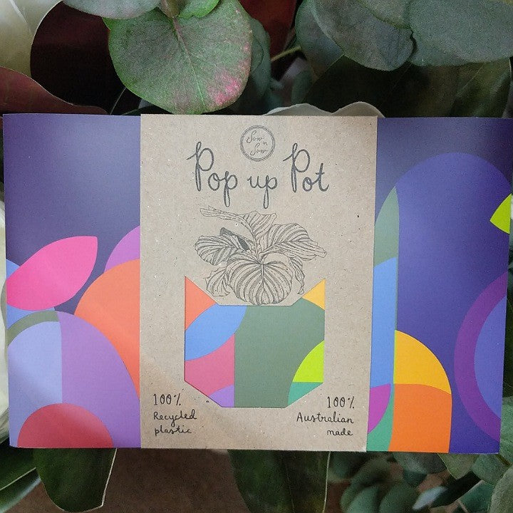 ECO POP UP POT