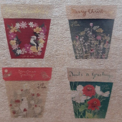 CHRISTMAS BOX OF SEEDS