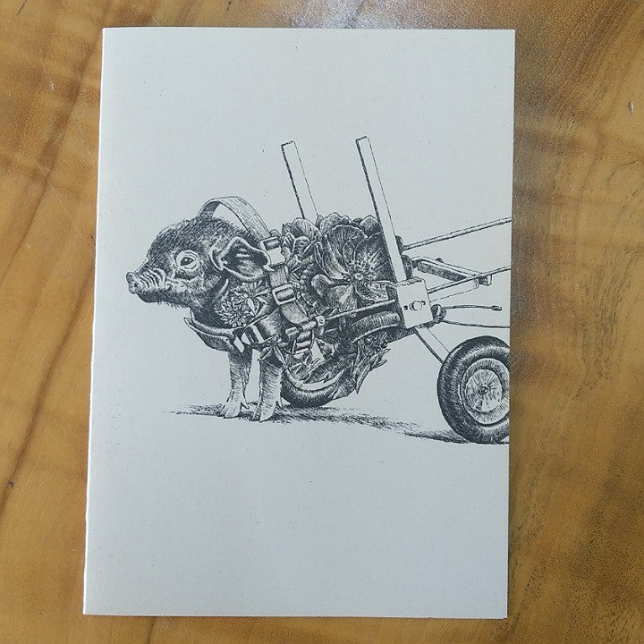 MARINI FERLAZZO CARD