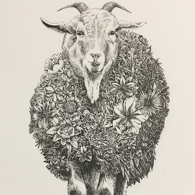 MARINI FERLAZZO CARD