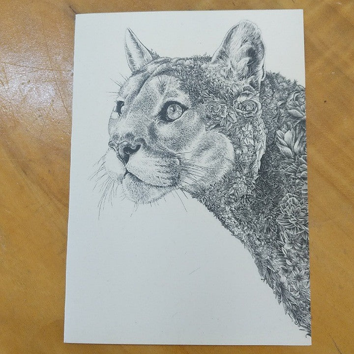 MARINI FERLAZZO CARD