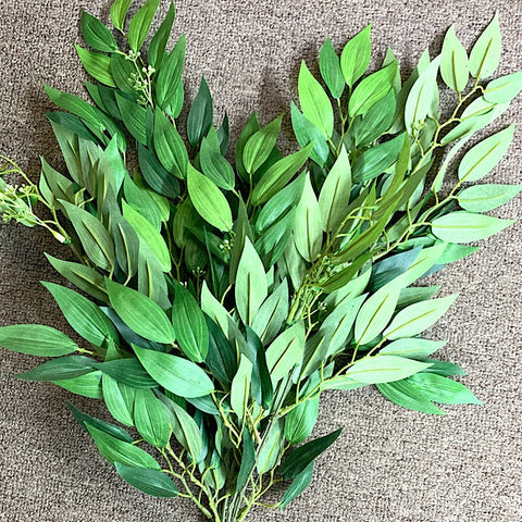 RUSCUS BUSH LEAVES AND BERRIES