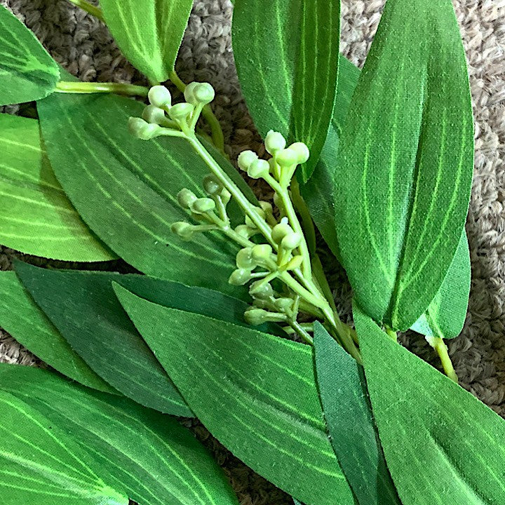 RUSCUS BUSH LEAVES AND BERRIES
