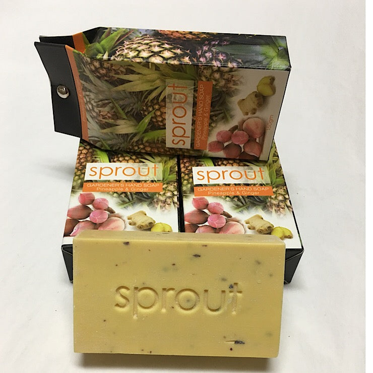 GARDENERS HAND SOAP PINEAPPLE GINGER