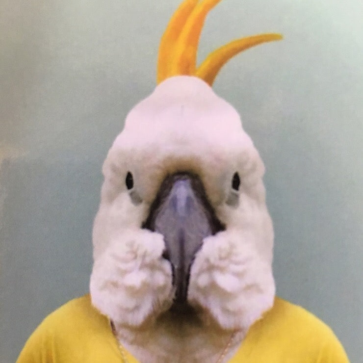 MICROFIBRE COCKATOO ZOO PORTRAITS TEA TOWEL