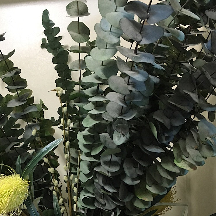 DOUBLE EUCALYPTUS SILVER DOLLAR DARK GREEN