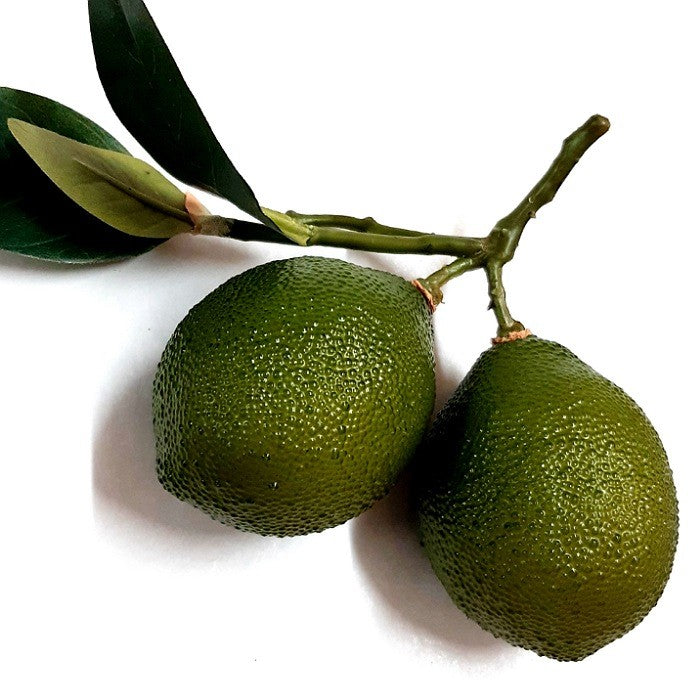 DECORATIVE FRUIT FOR A CENTREPIECE BOWL