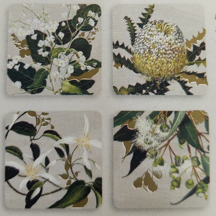 AUSTRALIAN WILDFLOWER COASTERS