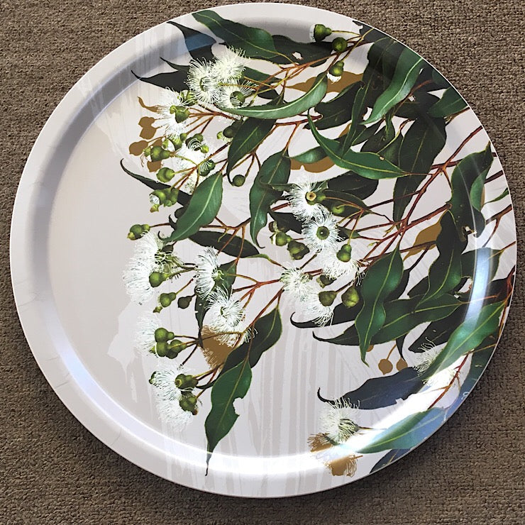 TRAY OF BIRCHWOOD FEATURING MARRI GUM