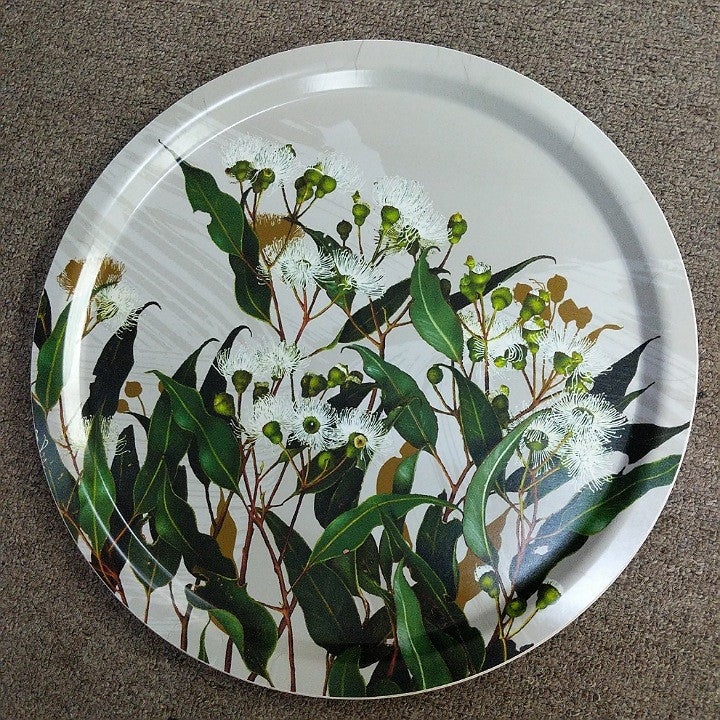 TRAY OF BIRCHWOOD FEATURING MARRI GUM