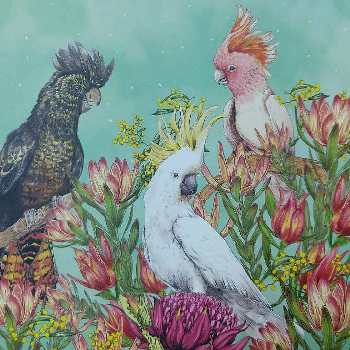 COCKATOOS OF AUSTRALIA GREETING CARD