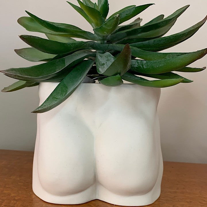 TUSH PLANTER