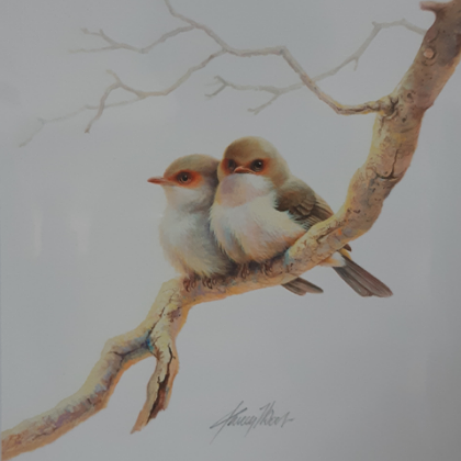 FINE ART MOUNTED PRINT JEREMY BOOT YOUNG BLUE WRENS