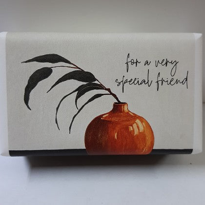 SOAP FOR A VERY SPECIAL FRIEND