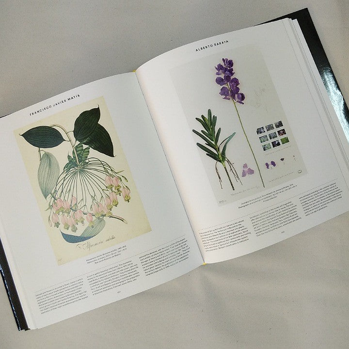 BOOK PLANT: ART OF THE BOTANICAL WORLD