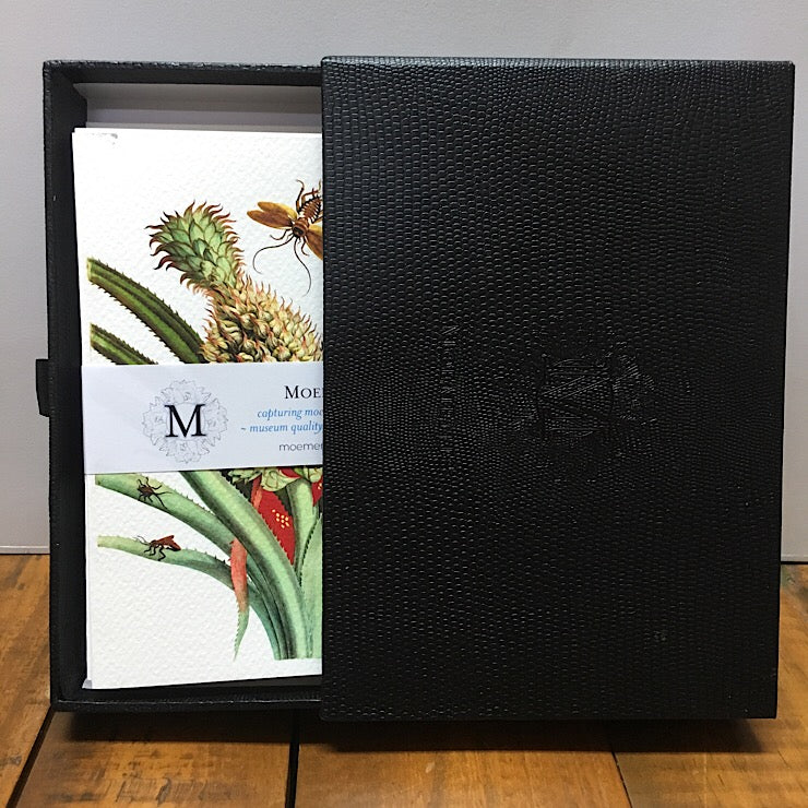 10 BOXED FLORAL CARDS BY MARIA SYBILLA MERIAN