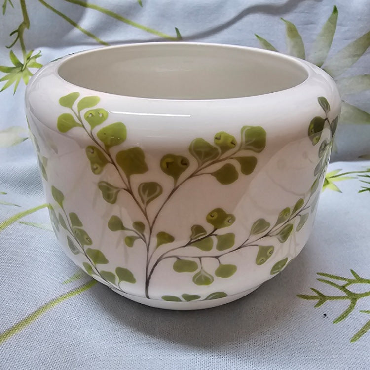 ANGUS AND CELESTE SUCCULENT POT MAIDEN FERN