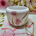 ANGUS AND CELESTE SUCCULENT POT HAKEA BLOOM