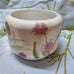 ANGUS AND CELESTE SUCCULENT POT HAKEA BLOOM