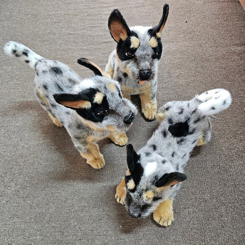 SOFT TOY BLUE HEELER PUPPY [DESIGN:SITTING]