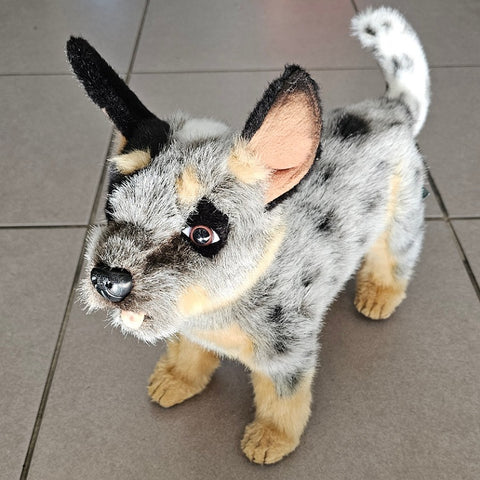 SOFT TOY BLUE HEELER PUPPY [DESIGN:STANDING]