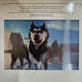 PHOTICULAR BOOK POLAR