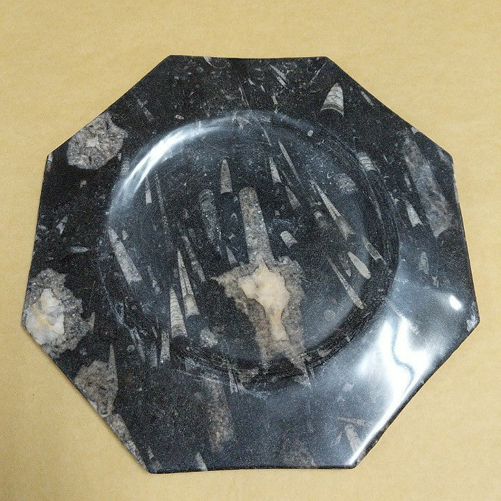 FOSSIL PLATE 28 CM