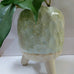 BOTANICA VASE SMALL