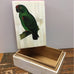 INLAID BONE TRINKET BOX WITH PAINTED GREEN PARROT