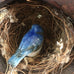 CERAMIC FIGURINE BLUE BIRD 7CM X 4CM