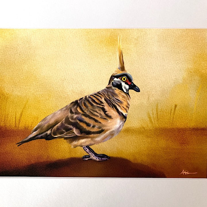 ANDI-CLAIRE PEGLER PRINT SPINIFEX PIGEON