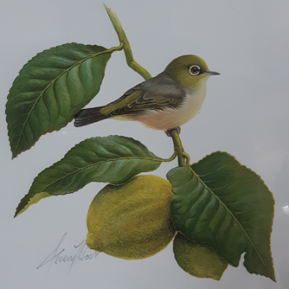 FINE ART MOUNTED PRINT JEREMY BOOT SILVEREYE