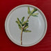ANGUS AND CELESTE SIDE PLATE GUM FROND