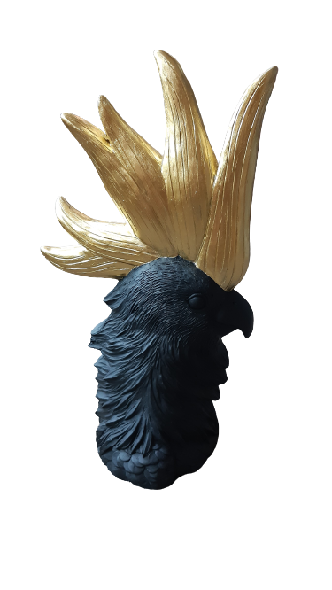 LARGE BLACK AND GOLD CRESTED COCKATOO
