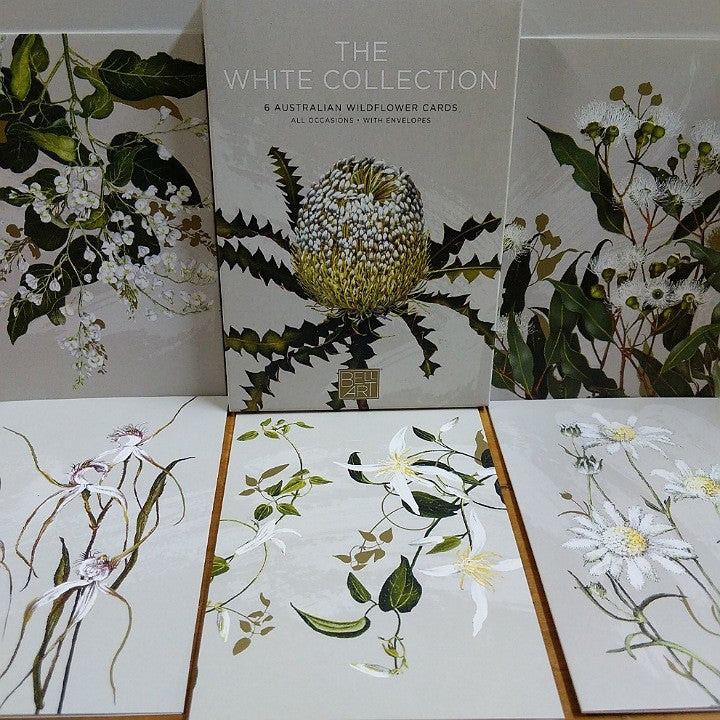 BOXED AUSTRALIAN WHITE FLOWER CARDS