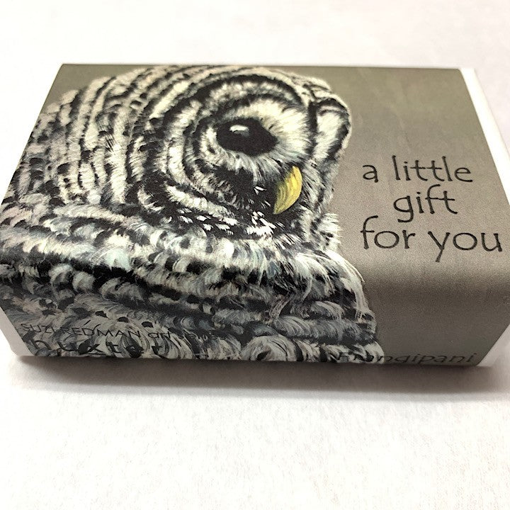 SOAP A LITTLE GIFT FOR YOU OWL