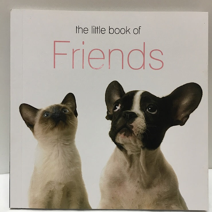 LITTLE BOOK OF FRIENDS