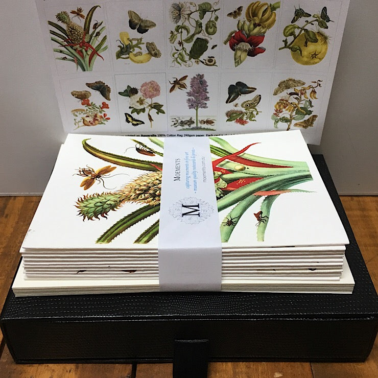 10 BOXED FLORAL CARDS BY MARIA SYBILLA MERIAN